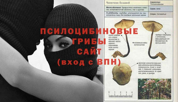 бутират Надым